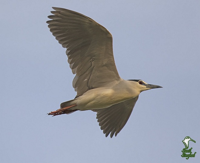 浣犵湡鐨勮璇嗘捣楦ュ悧,浣犵湡鐨勮璇嗚崰鑿滃悧