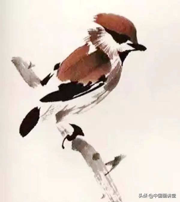 怎么用彩铅画出一只鸟儿,最简单的鸟儿画法