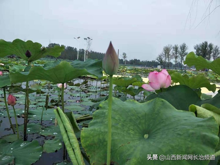 鎴戜滑韬竟鐨勬柊闂绘湁鍝簺,鎴戜滑韬竟鐨勪簩闈掍細灞辫タ