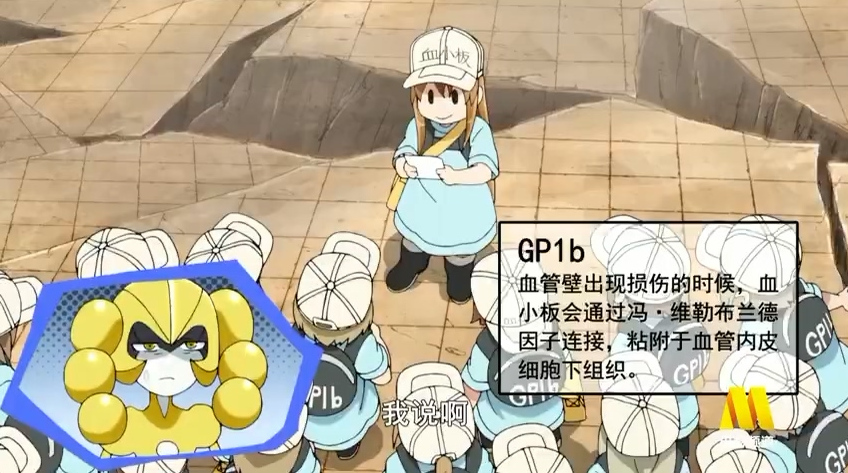 工作细胞东北来的红细胞,工作细胞红细胞淘汰