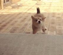 五一番禺市桥好玩的地方,番禺区春节免费景区都有哪些