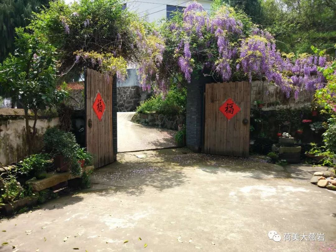 夜新叶，新叶夜，夜夜夜夜夜！唱吧醉仙居，探秘奶茶吧，茶憩戏曲馆，漫步烟花巷……每周六晚