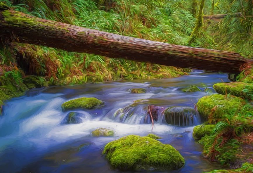 属猪的几月出生好真的准吗,网上说几月出生最好到底准不