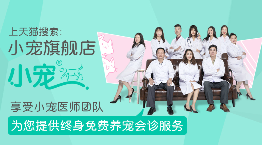 狗狗也会有“大姨妈”？！狗狗发情期需要注意什么？