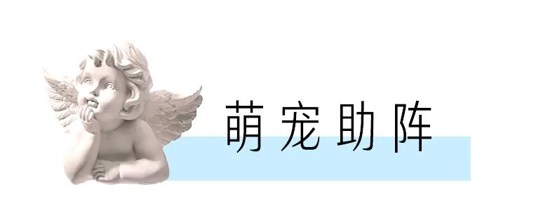 准备一个浪漫的表白,如何准备一个浪漫的表白