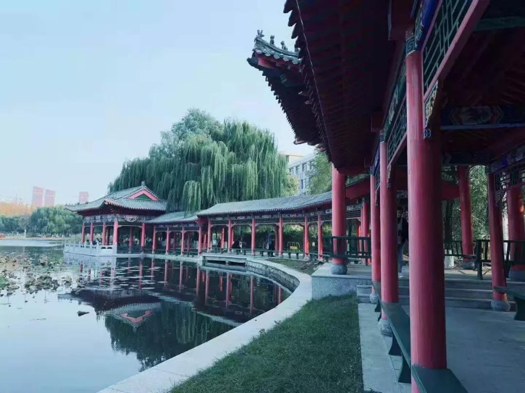 辽宁中医药大学杏林学院独立学院,辽宁中医药大学三个校区