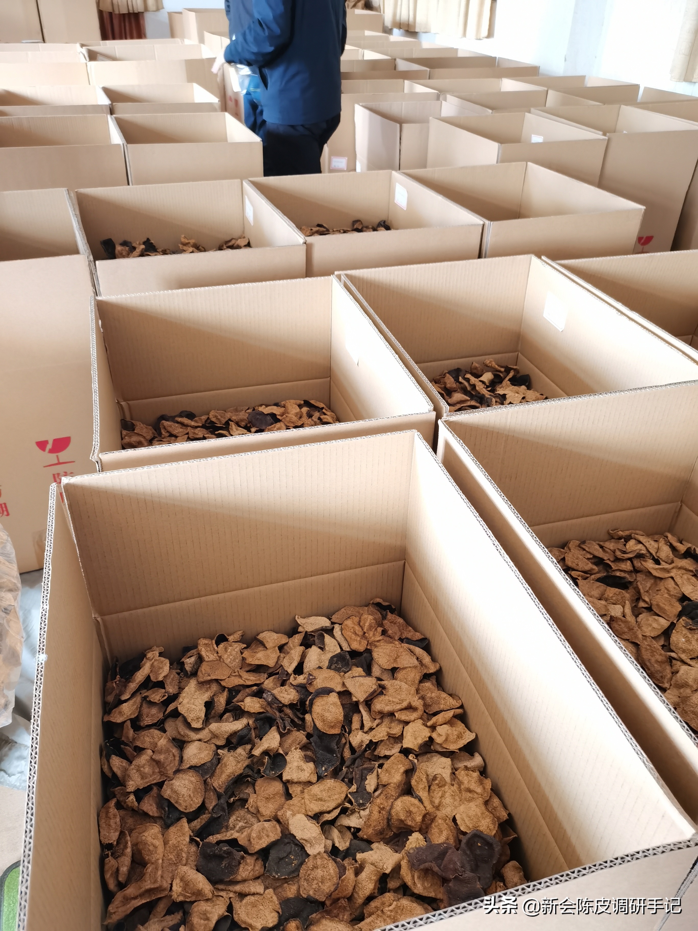 新会陈皮发霉还能喝吗,新会陈皮怎么封存防止发霉长虫