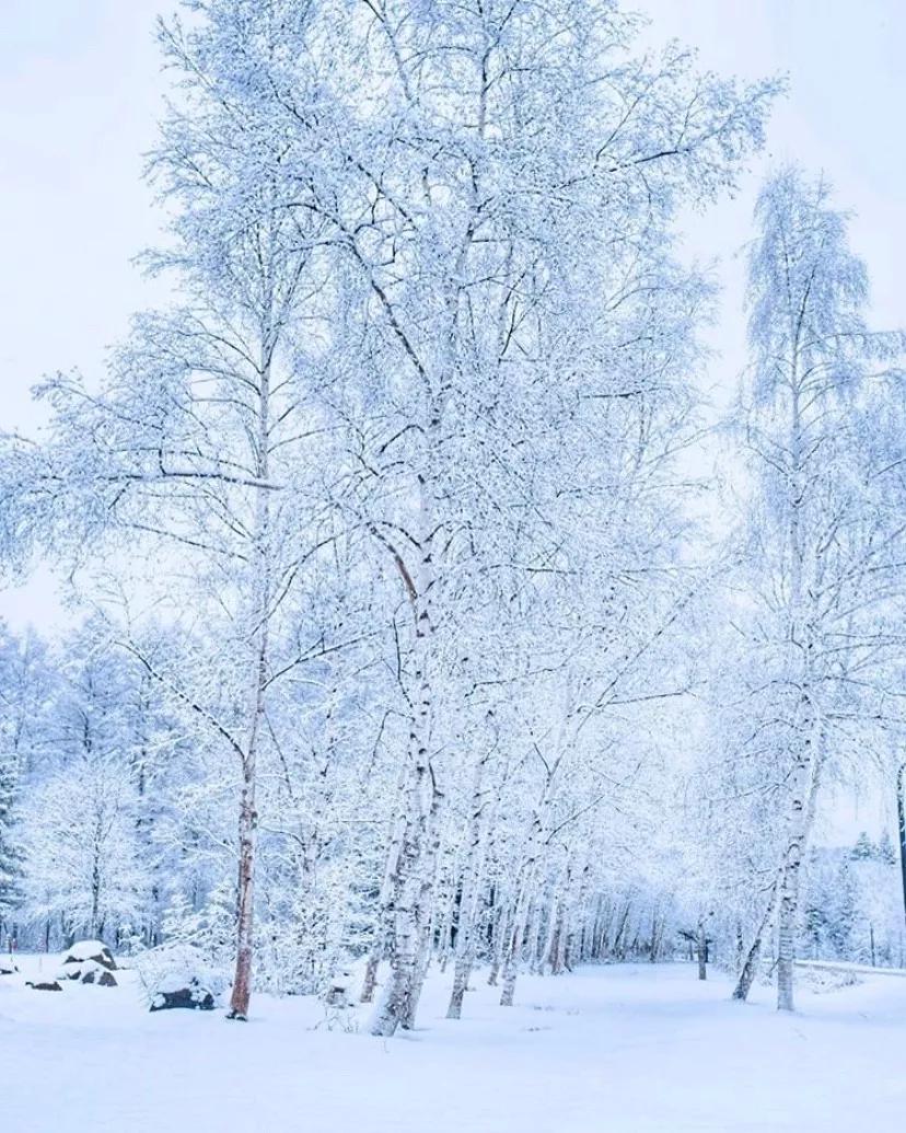 日本小众的好地方,日本最小众的地方