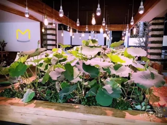 马蜂窝退单赔付,马蜂窝赔偿案例