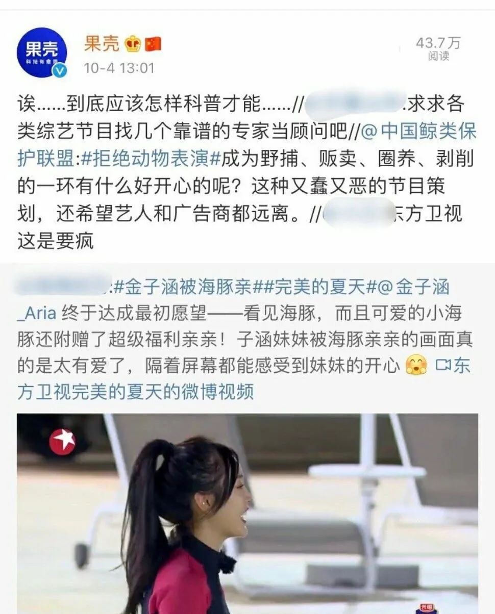 金子涵与乐华是什么关系,金子涵下任乐华一姐