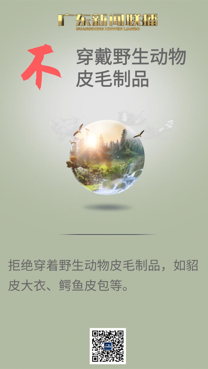 为了保护它们，广东实施这个工程