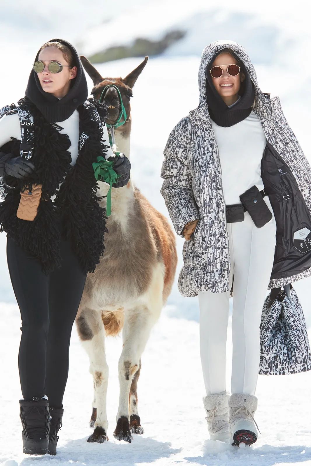 普京伊丽莎白女王,普京戴安娜王妃