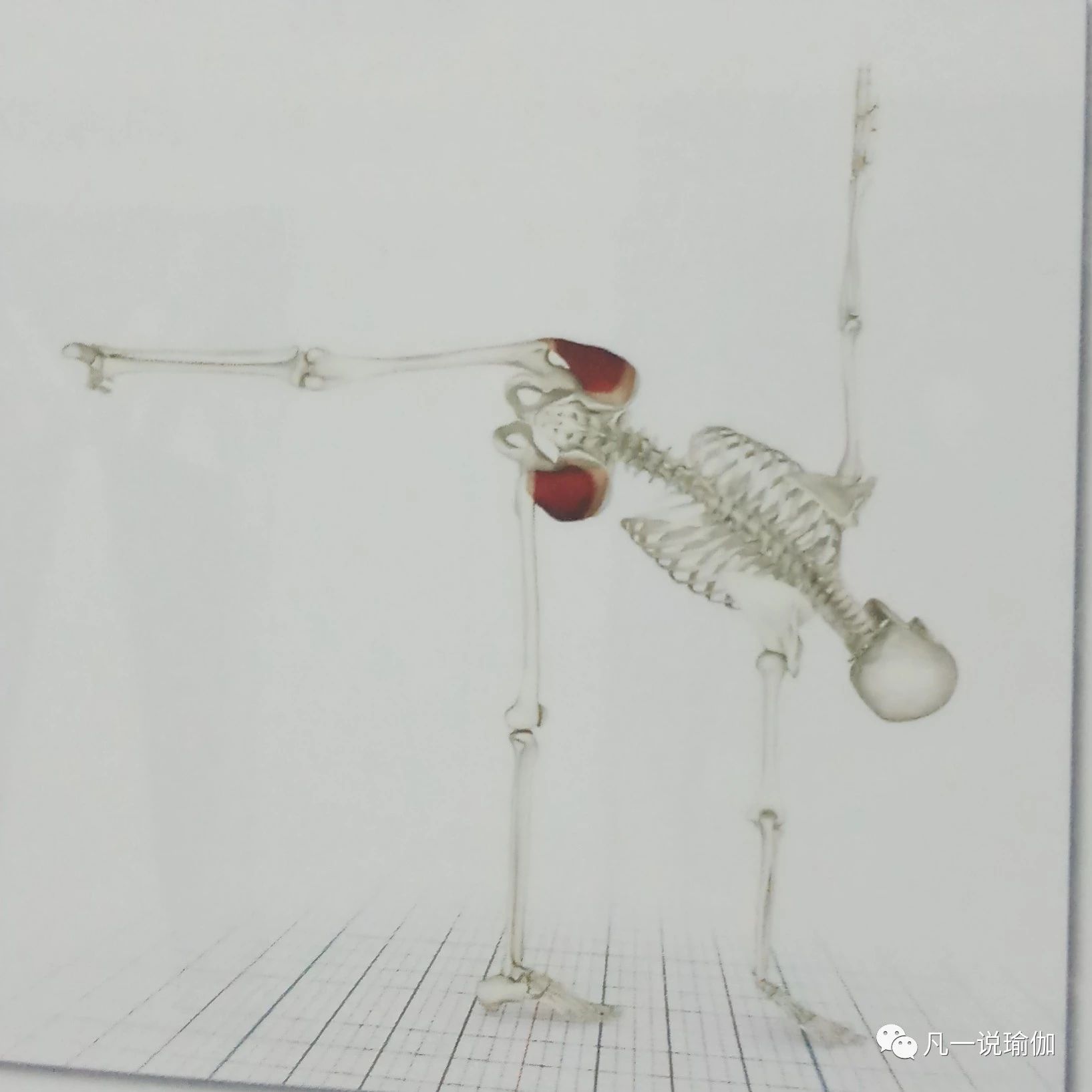 臀部宽瘪的翘臀训练教程,翘臀和臀部紧实的动作