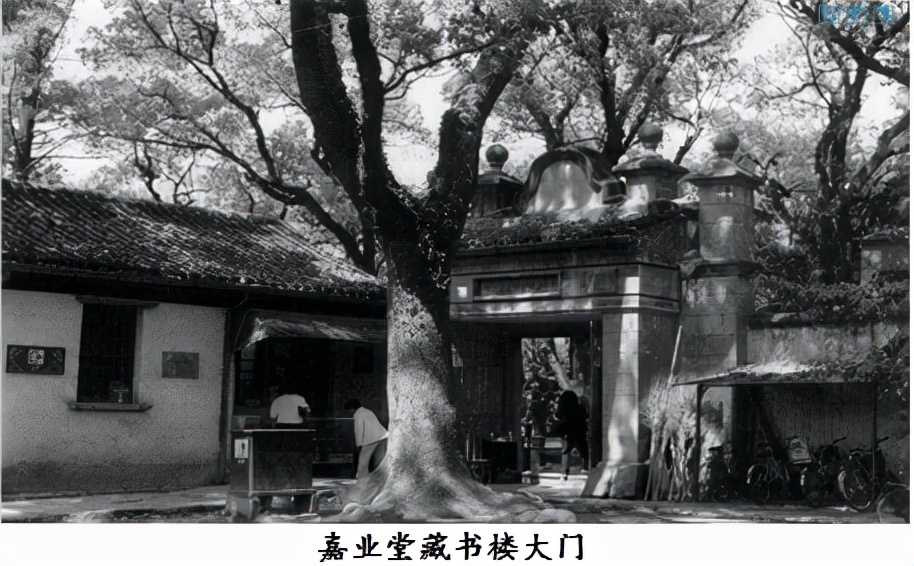 科普成果浙江民俗与艺术,科普取得的主要成果