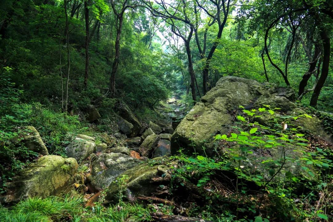 荆门就是荆州吗,荆州是不是就是荆门