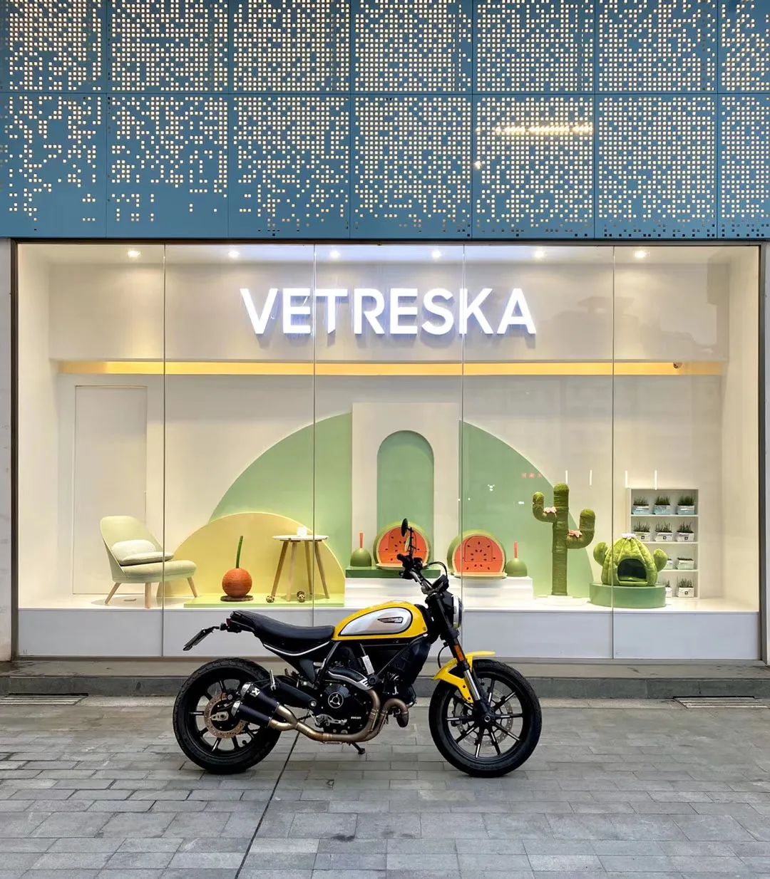 欢迎同行入内，这是一家为宠物店而开的宠物