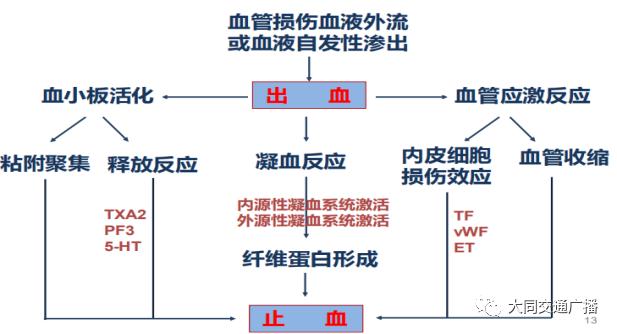 房颤性心脏病表现,持续性房颤的疾病介绍