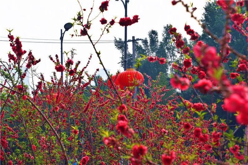 瞧！这花花世界谁不爱