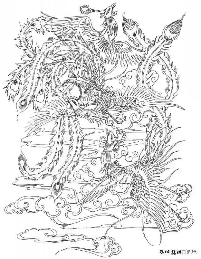 凤凰绘画中国风线稿,凤凰白描线稿特点