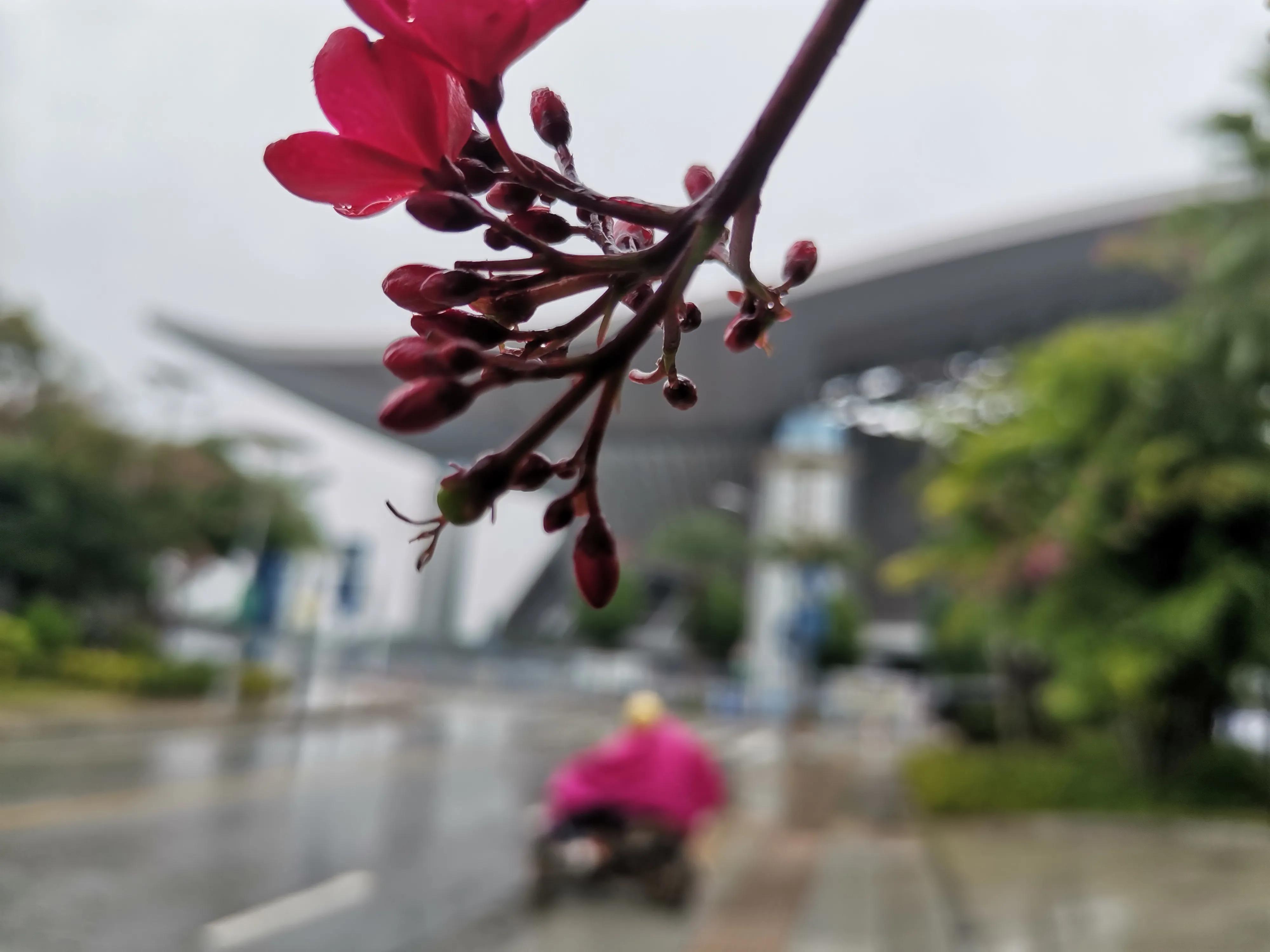 走进体育领略文化魅力,南宁体育中心足球比赛