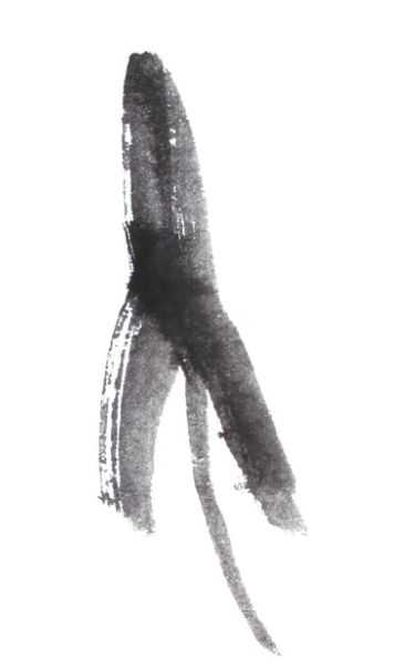 草鱼不会画？那是你没有学会这几点画法，学会几分钟画《鱼乐图》