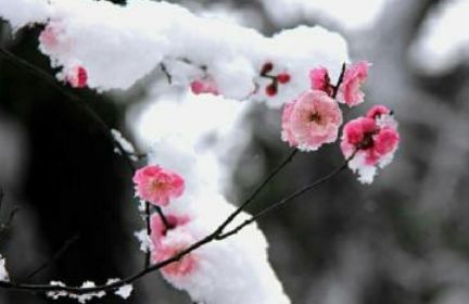 管恩锋最新品读好诗词,管恩锋