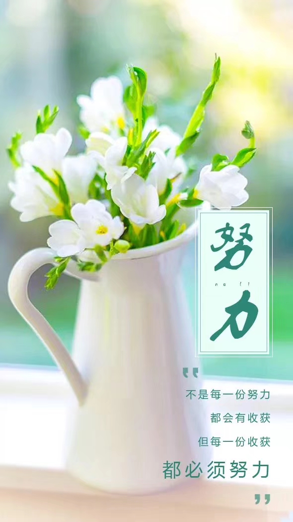 做摘抄使用哪些书比较好,做摘抄的好句子