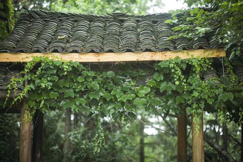 农村80后小两口,80后夫妻住进深山