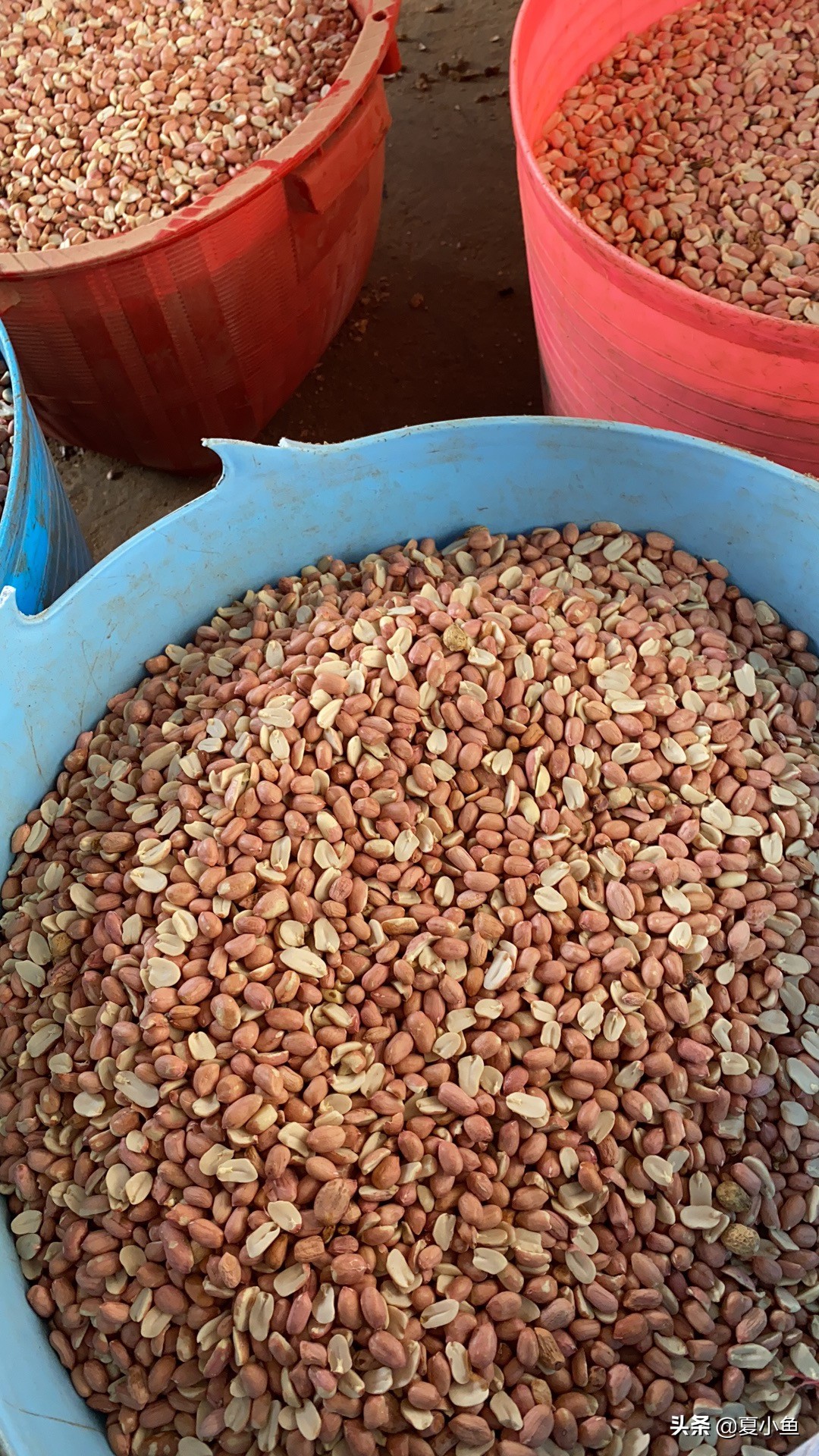 纯正花生油背后的秘密,花生油的猫腻是怎么回事