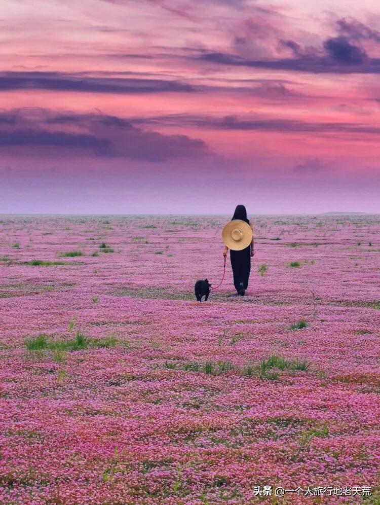 这才是12月最值得去的旅行地,11月12月去哪里旅游最美