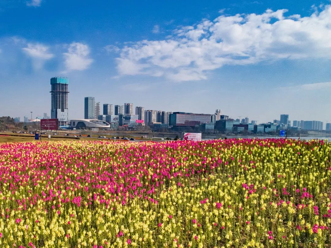 成都十大绿道旅游线路推荐,成都绿道最佳观赏地点