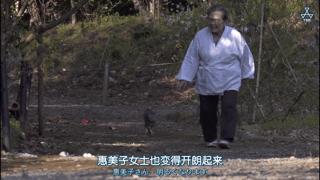 大家都在争抢猫爪杯？吸猫的最高境界，带着摄影机“猫步走天下”