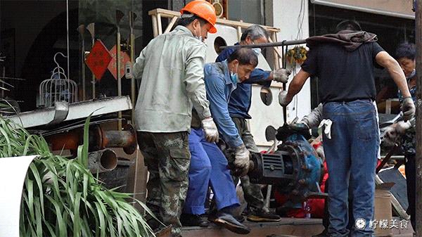 再见了，我的新梅园