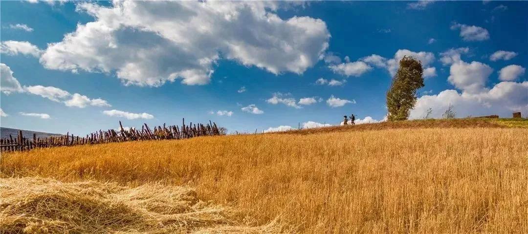 2024攀枝花旅游,攀枝花旅行榜单