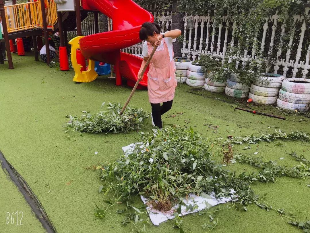 师爱如蜜，用心铺开童话之路，格林童话幼儿园喜迎开学季