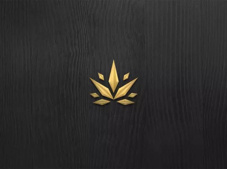 品牌形象代言人海报,品牌形象代言人