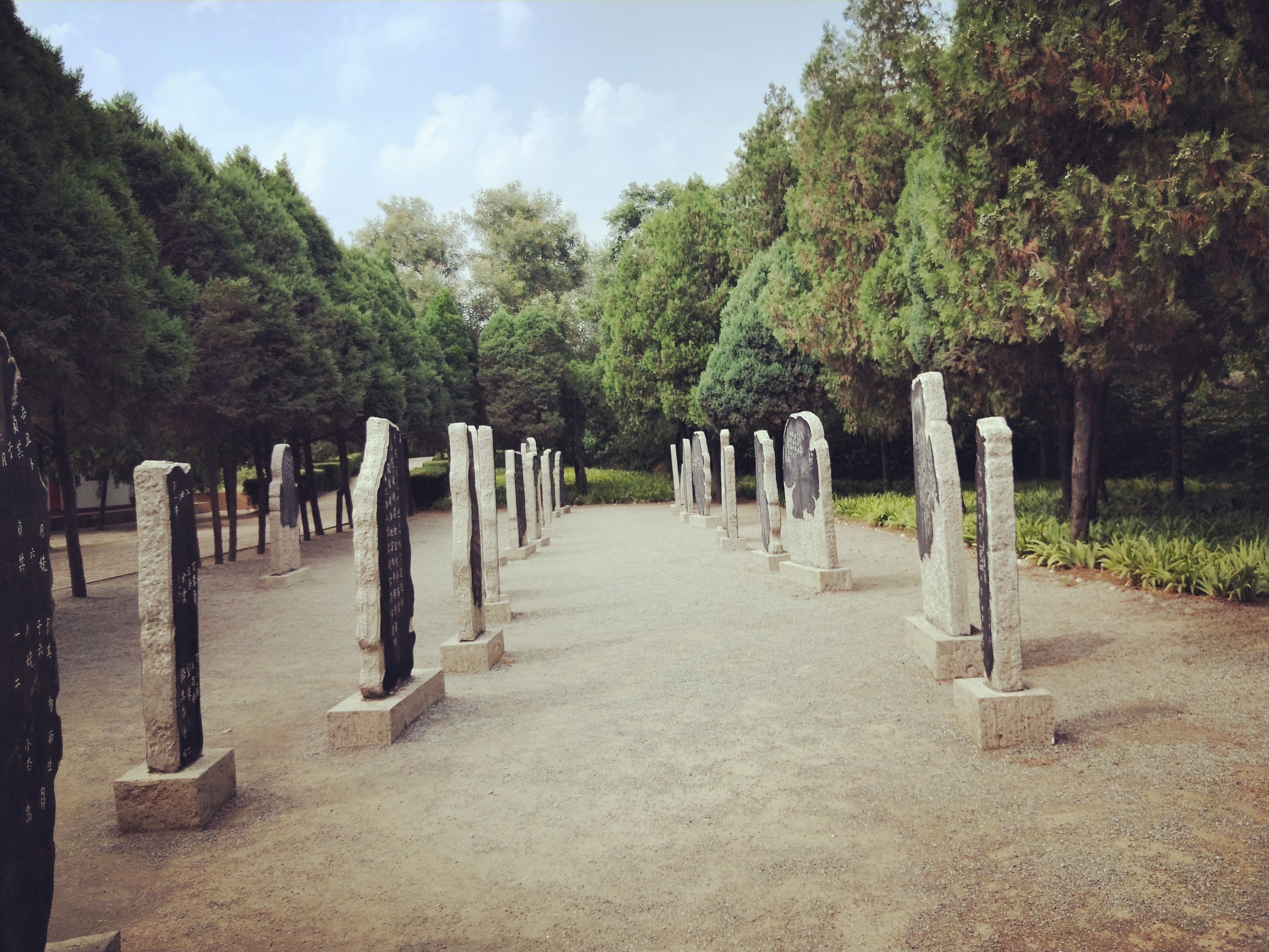 一片甲骨惊天下是什么意思,甲骨惊天下殷墟纪录片