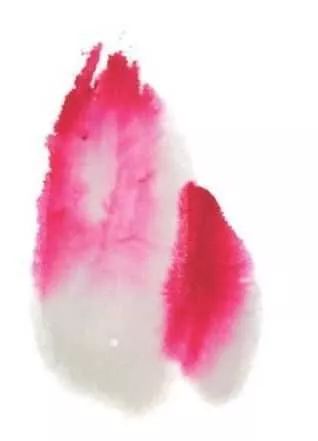 白描荷花100幅画法,荷花的画法白描图