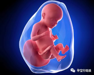 孕期日记第27周,孕期日记第21周