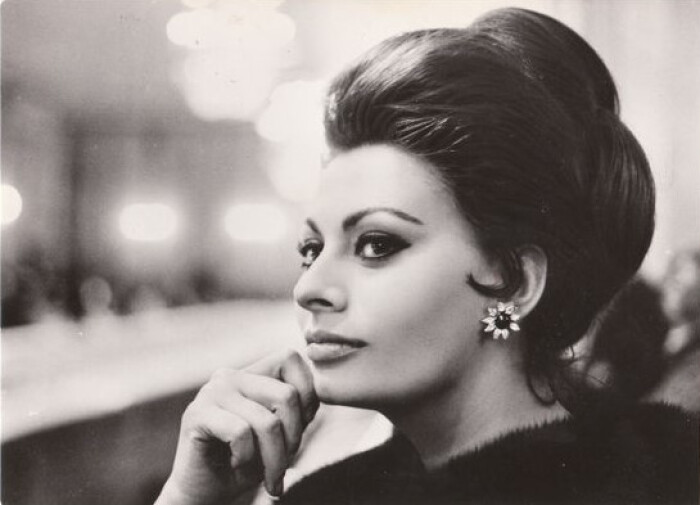 索菲亚罗兰女性特征,索菲亚罗兰年轻时的样子