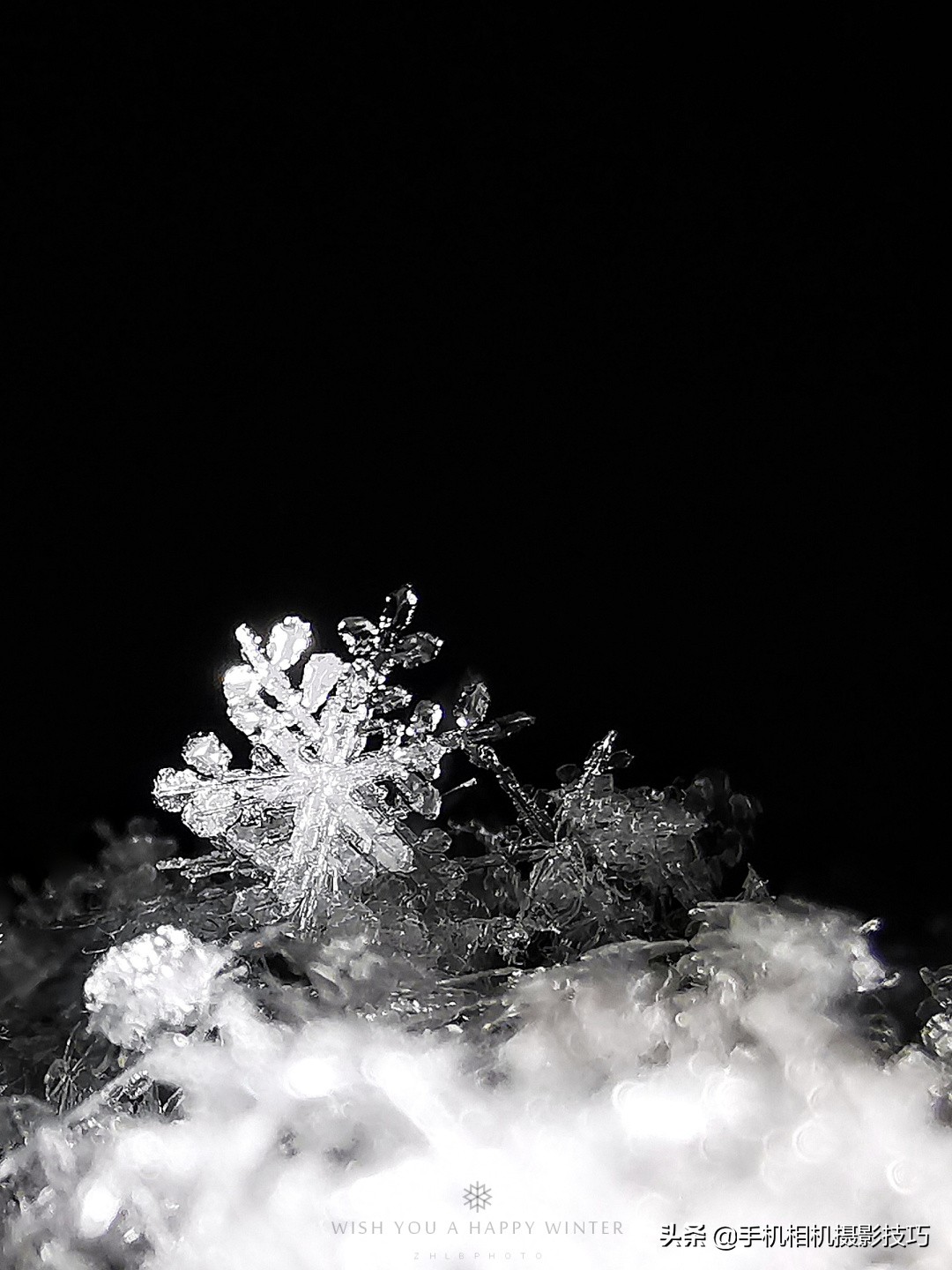 不用滤镜也能拍大片,不用镜头的相机拍照效果