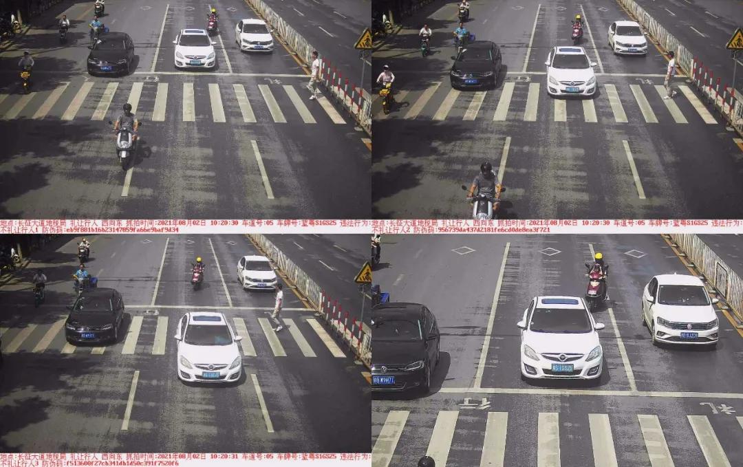 于都礼让行人上哪里举报,于都五中不礼让行人抓拍