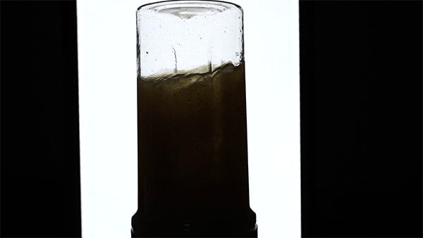 怎么用榨汁机榨果汁,如何用榨汁机榨出一杯好吃的果汁