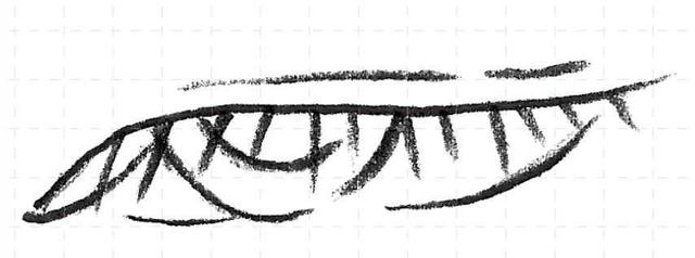 怎样画12种眼睛的不同画法,眼睛不会画