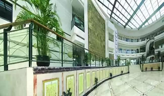 全上海只剩这13所一贯制学校，能从幼儿园一路直升到初中