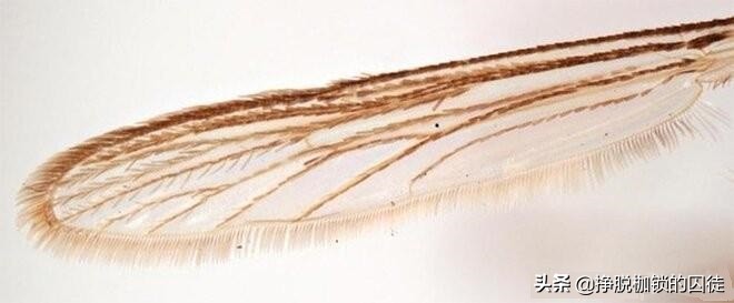 为什么说存在即合理是错的,为什么说存在就是合理的是错的