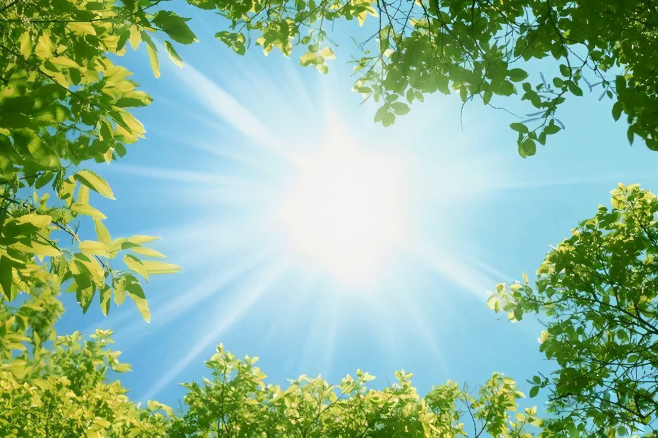 米斗:37岁离职的失与得