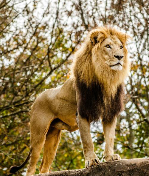 ps中如何从3d模式切换成图层模式,ps合成叠加图片3d效果