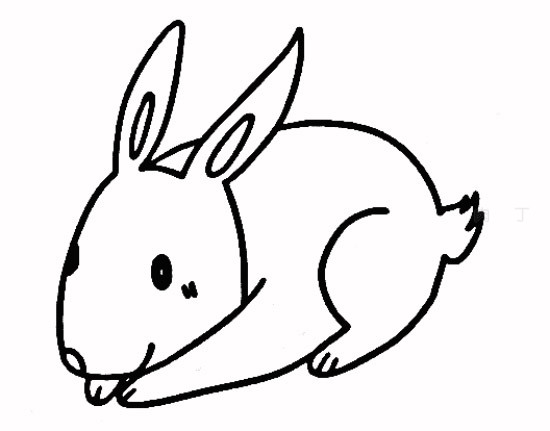 兔子的品种有哪些简笔画,简笔画森林中的蘑菇小屋和兔子