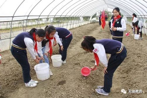 翻地、播种…无锡老小将课堂搬到了田间地头